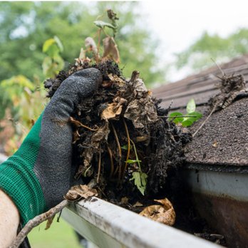 Gutter Grunts - Gutter Services Near Me