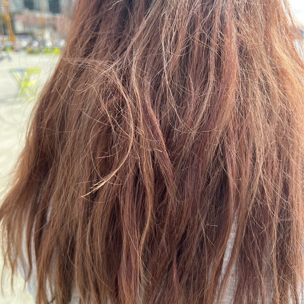 Tanya's work