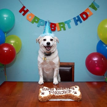 The Dog Bakery - Happy 6th birthday Porky! - Pet Stores Near Me - Pasadena, California The Dog Bakery - Happy 6th birthday Porky! - Pet Stores Near Me - Pasadena, California