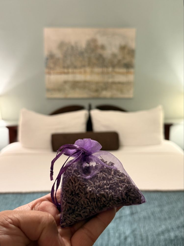 Lavender Inn by the Sea