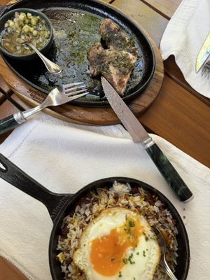 Ibirapuera Park by null