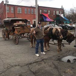 Piney Bay Coffee - Horse Carriage Ride in front of Piney Bay coffee in Clarksville Arkansas HarpinHank Hogan with the small carriage horses (Australian)