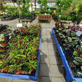 Casaplanta Garden Center - Nurseries & Gardening Near Me - Miami, Florida