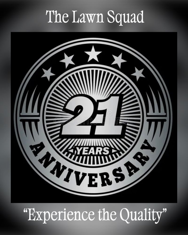 The Lawn Squad - veterans service organization in White, GA