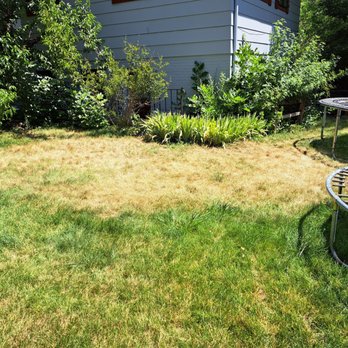 Vivax Pros - Painters Near Me - Denver, Colorado