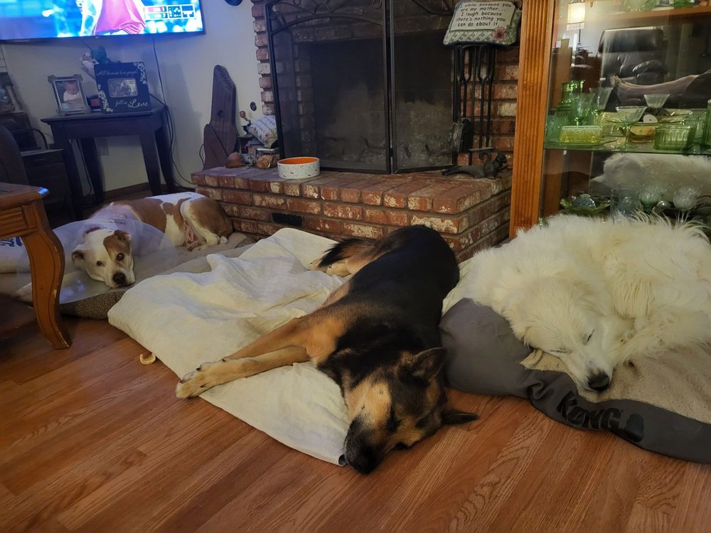 FOUR POINTS FEED STORE Updated September 2024 18 Reviews 5645 E Avenue T, Palmdale