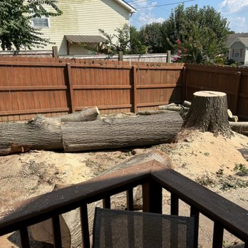 R.W.'s Tree Service - Tree Services Near Me R.W.'s Tree Service - Tree Services Near Me