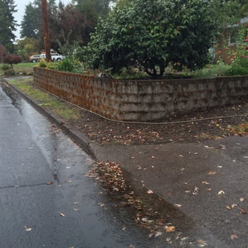 Scott Gutter Roof Cleaning - Before - Window Washing Near Me - Springfield, Oregon Scott Gutter Roof Cleaning - Before - Window Washing Near Me - Springfield, Oregon