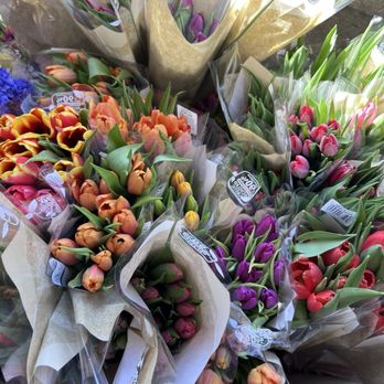 Trader Joe's - Grocery Near Me - Westchester, California Trader Joe's - Grocery Near Me - Westchester, California
