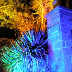 University Of Dundee Botanic Garden