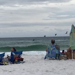 El Matador Management - Waves and pelicans all day long