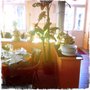 Photo of Restaurant Okra