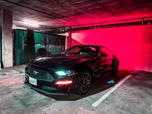 Hertz Car Rental - San Francisco - San Francisco International Airport (SFO) by null