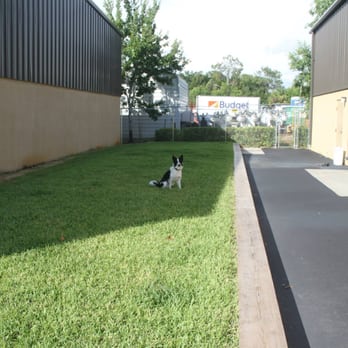 Sit Stay Play - Our outdoor, fenced in - potty yard. - Pet Training Near Me - Hudson, Florida Sit Stay Play - Our outdoor, fenced in - potty yard. - Pet Training Near Me - Hudson, Florida