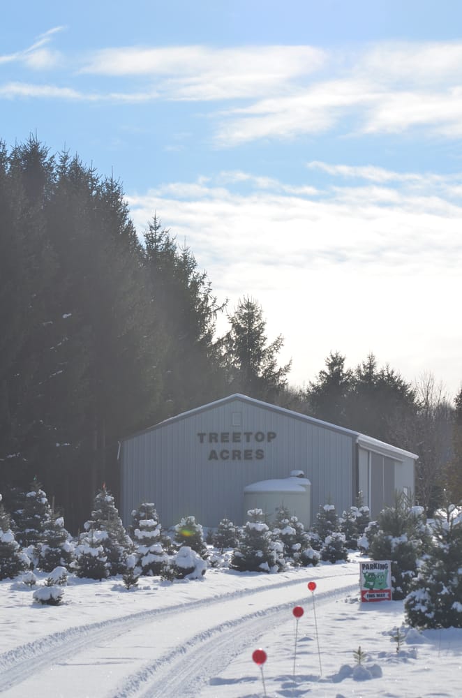 TREETOP ACRES Updated September 2024 21 Photos 3936 Lower