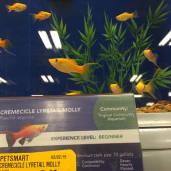 PetSmart - Fish - Pet Groomers Near Me - Mt Prospect, Illinois