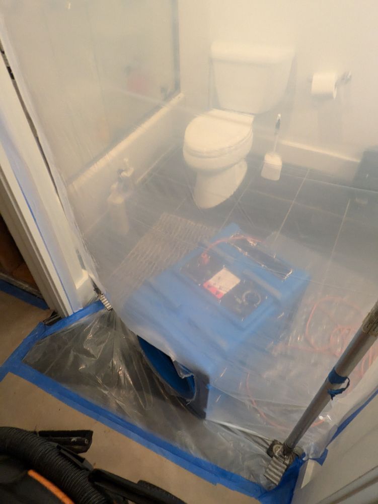 Pasch Environmental - mold inspector in Seattle, WA