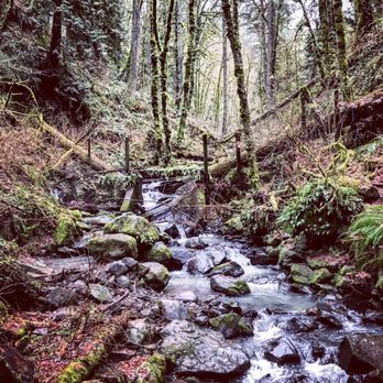 Macleay Park - Parks Near Me - Portland, Oregon
