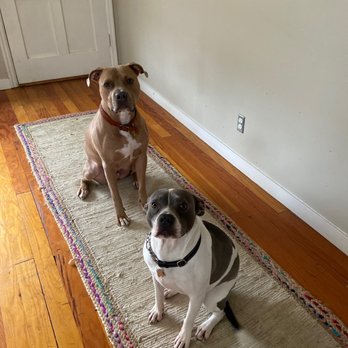 Seattle Rubbish Removal - Junk Removal & Hauling Near Me - Seattle, Washington Seattle Rubbish Removal - Junk Removal & Hauling Near Me - Seattle, Washington