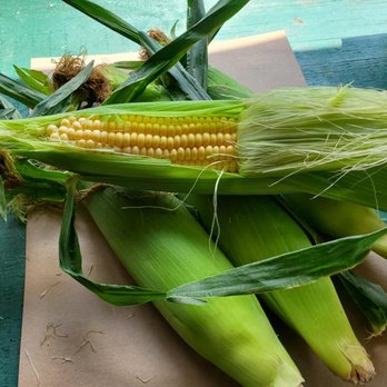 Noel's Produce Stand - corn on the cob - Fruits & Veggies Near Me - Pittsboro, North Carolina Noel's Produce Stand - corn on the cob - Fruits & Veggies Near Me - Pittsboro, North Carolina