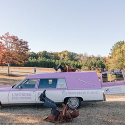 Lavender Pest Control