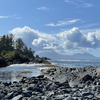 Bumble Expeditions - Whale Watching Tours Near Me