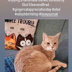 Operation Blankets of Love