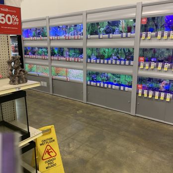PetSmart - More fish available - Pet Stores Near Me - Shawnee Mission, Kansas PetSmart - More fish available - Pet Stores Near Me - Shawnee Mission, Kansas