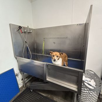 Incredible Pets - Dog wash - Pet Stores Near Me - Sacramento, California Incredible Pets - Dog wash - Pet Stores Near Me - Sacramento, California