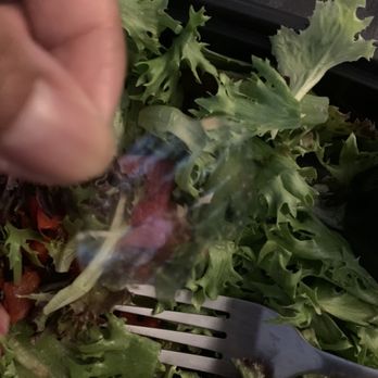 Seasons 52 - Plastic found in my salad last month - New American Near Me - Edison, New Jersey Seasons 52 - Plastic found in my salad last month - New American Near Me - Edison, New Jersey