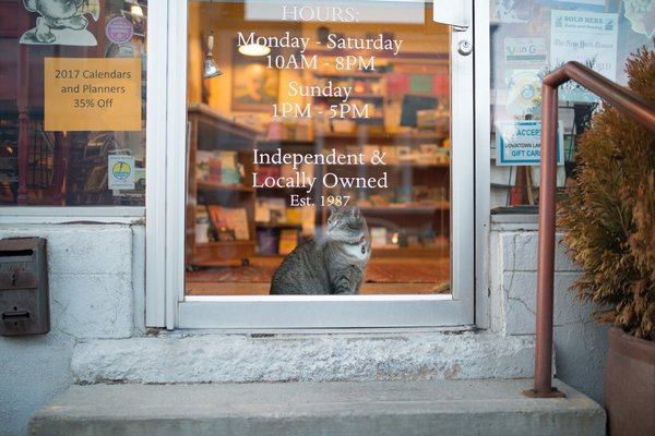 The Raven Book Store by null