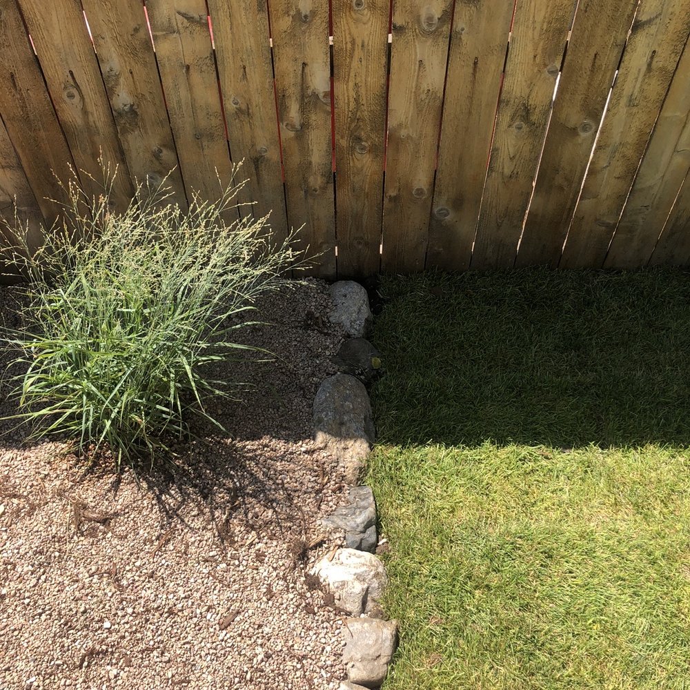 Jazmine's Landscaping and Tree Service - a view of a garden - Landscaping Near Me Jazmine's Landscaping and Tree Service - a view of a garden - Landscaping Near Me
