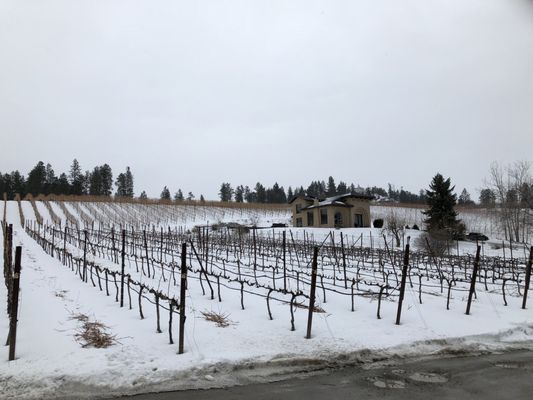 Ex Nihilo Vineyards & Tasting Room by null