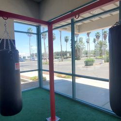 Artist Boxing Gym & Fitness - Floor to ceiling windows on two sides of the gym provide lots of natural light and palm tree views