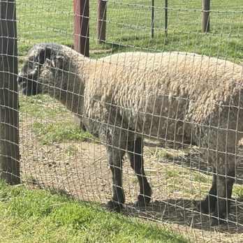 French Prairie Gardens - Petting zoo area - Nurseries & Gardening Near Me - Saint Paul, Oregon