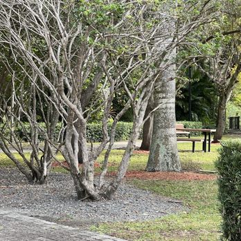 Steele Mini Park - Parks Near Me - Miami, Florida Steele Mini Park - Parks Near Me - Miami, Florida