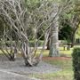 Photo of Steele Mini Park