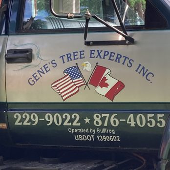 Gene's Tree Experts - This is where you find the team - Tree Services Near Me - Staatsburg, New York Gene's Tree Experts - This is where you find the team - Tree Services Near Me - Staatsburg, New York