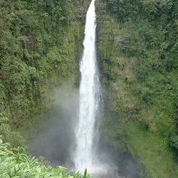 Travel Travel Irvine - Akaka Falls, Hamakua Coast, Big Island, Hawaii