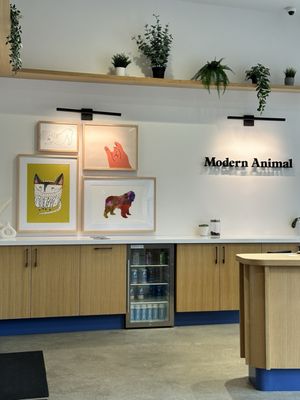 Modern Animal by null