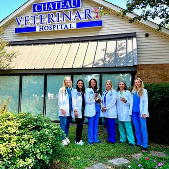 Chateau Veterinary Hospital - Pet Care Since 1984 - Veterinarians Near Me - Kenner, Louisiana Chateau Veterinary Hospital - Pet Care Since 1984 - Veterinarians Near Me - Kenner, Louisiana