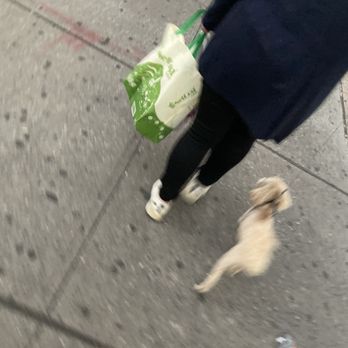 TJ MAXX - Updated January 2026 - 25 Photos & 73 Reviews - 1630 E 15th