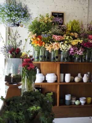 Hops Petunia Floral by null