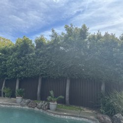 Linda Vista Landscaping