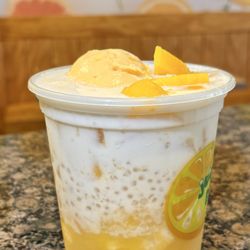 Juicy Box - K1 Large mango coconut milk sago with mango ice cream 杨枝甘露加芒果冰淇淋
