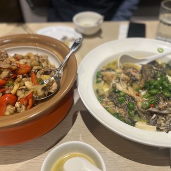 Dan Gui Sichuan Cuisine - Szechuan Near Me - Bellevue, Washington