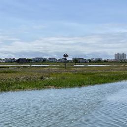 Osprey nest outside of Wildwood Osprey nest outside of Wildwood