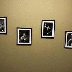 Cardinal Frame & Art