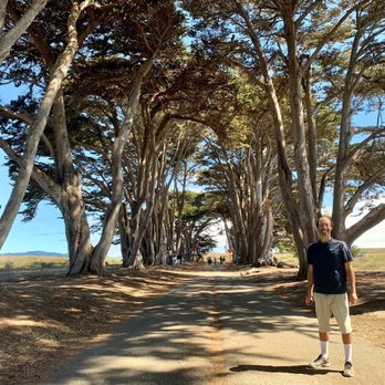 Cypress Tree Tunnel - I appreciated walking through the tunnel. - Parks Near Me - Inverness, California Cypress Tree Tunnel - I appreciated walking through the tunnel. - Parks Near Me - Inverness, California