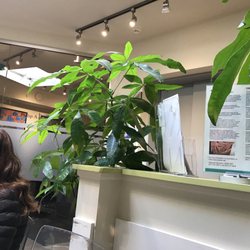 Runnymede Walk-in Medical Clinic